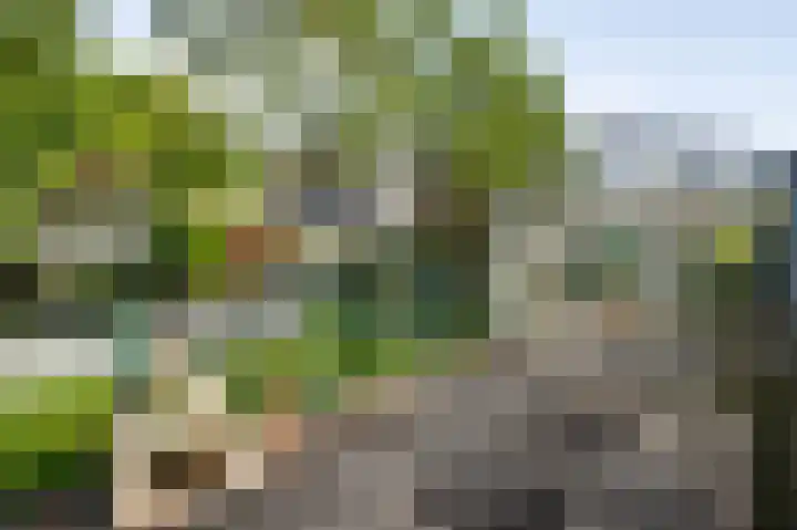 Lobeliastraat 43 Ittervoort thumbnail 6