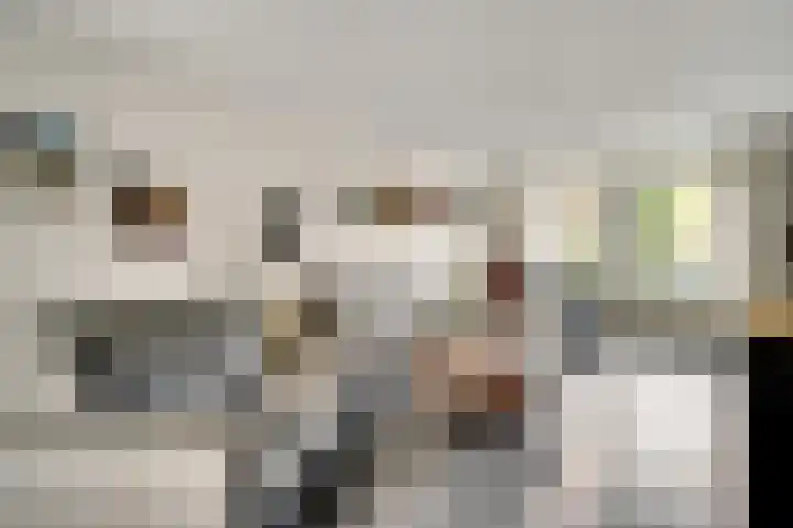 Lobeliastraat 43 Ittervoort thumbnail 8