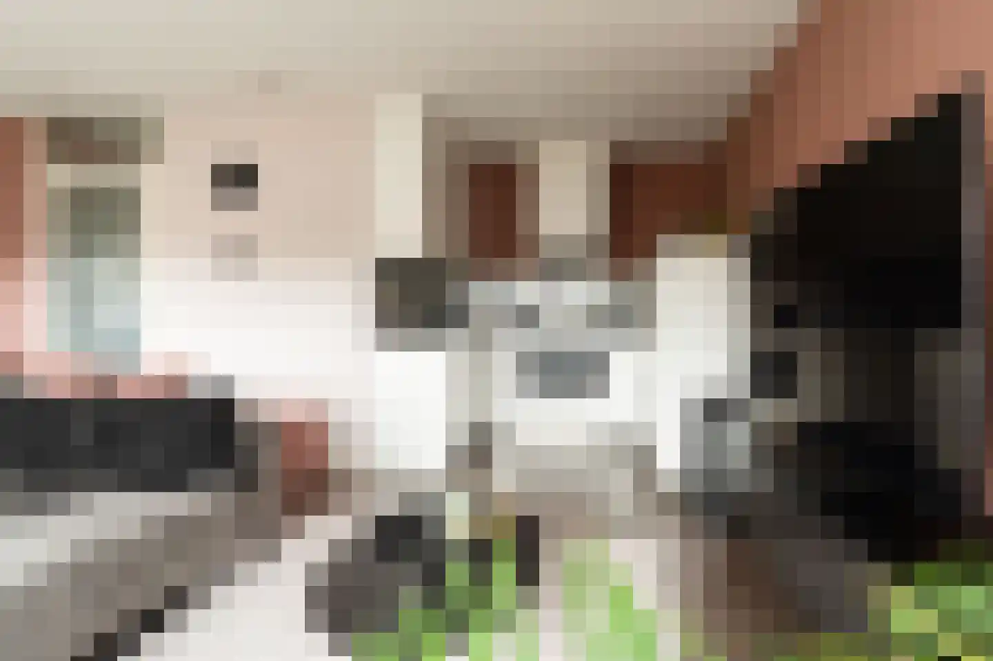Lobeliastraat 45 Barneveld thumbnail 14