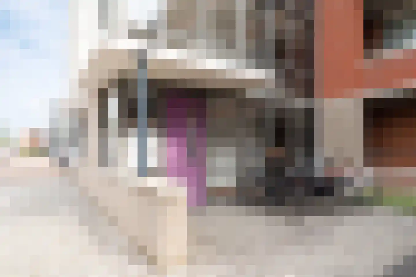 Lobeliastraat 45 Barneveld thumbnail 32