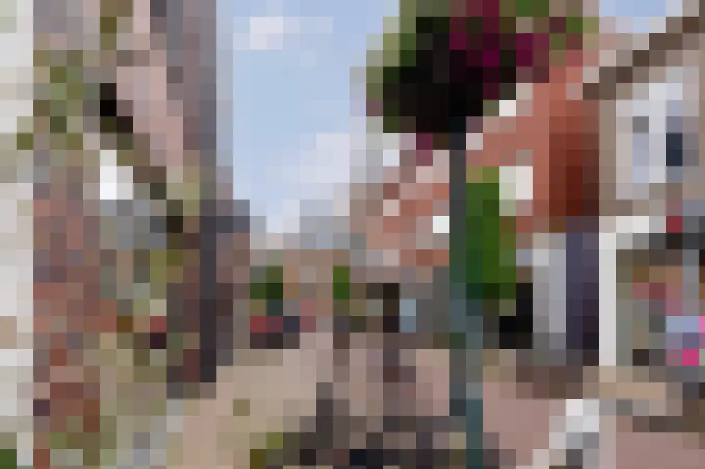 Lobeliastraat 45 Barneveld thumbnail 42