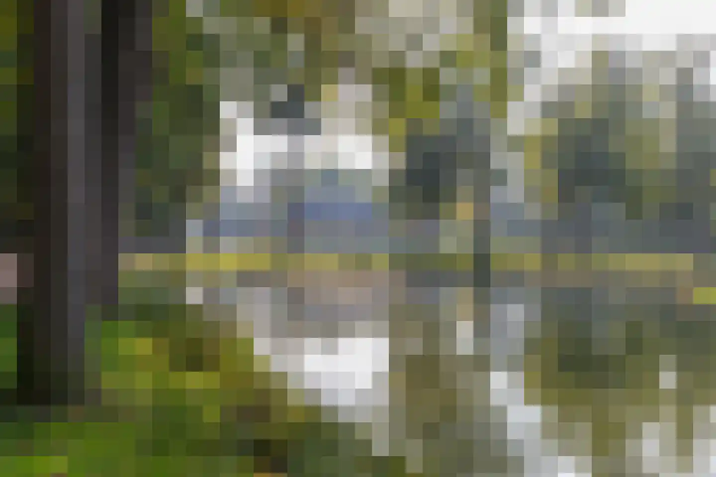 Lobeliastraat 45 Barneveld thumbnail 45