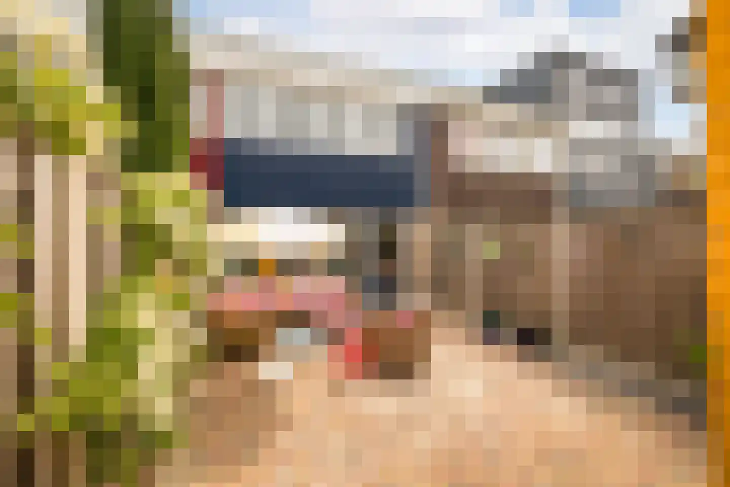 Lobeliastraat 68 Hoogkarspel thumbnail 30