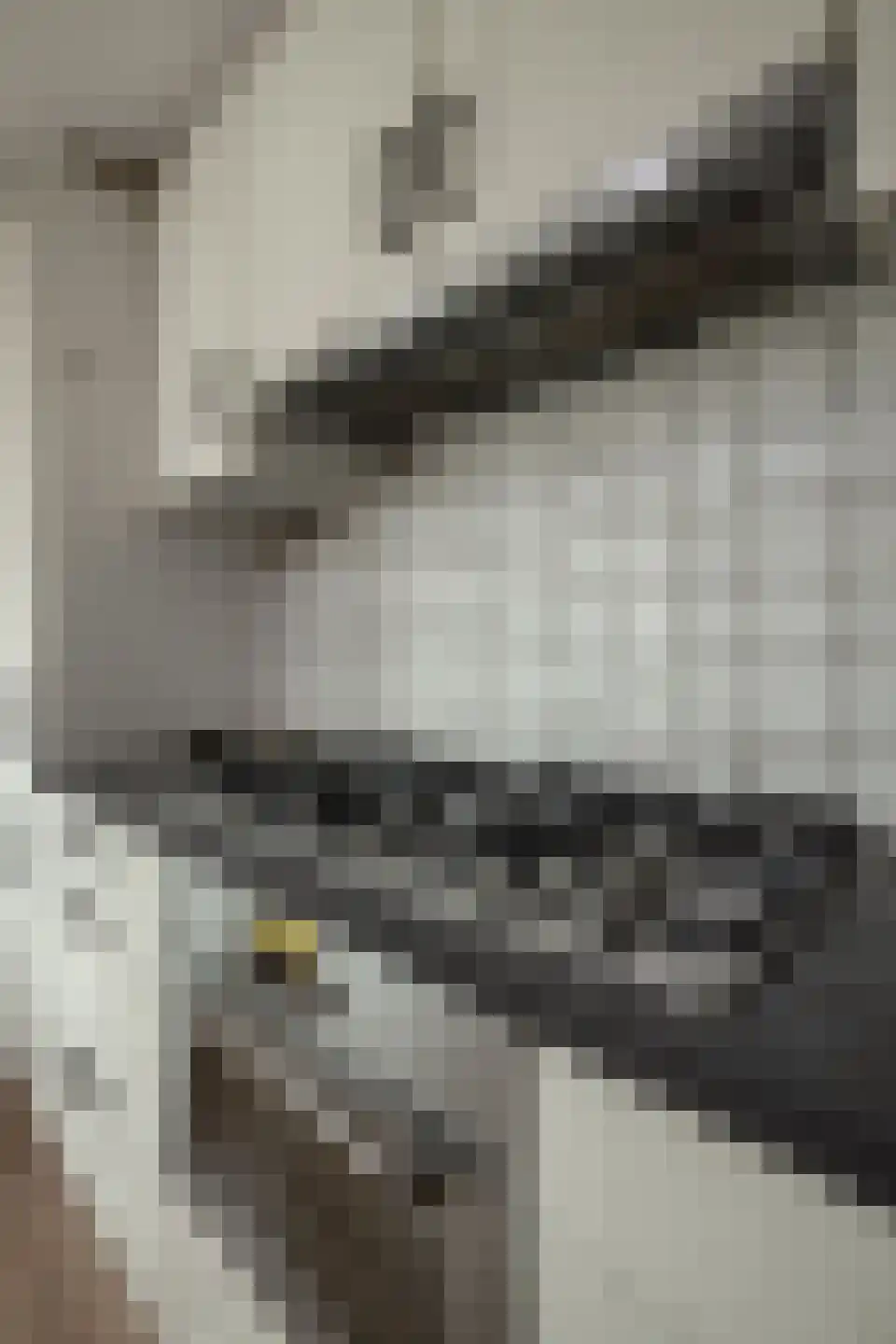 Lobeliastraat 68 Hoogkarspel thumbnail 40