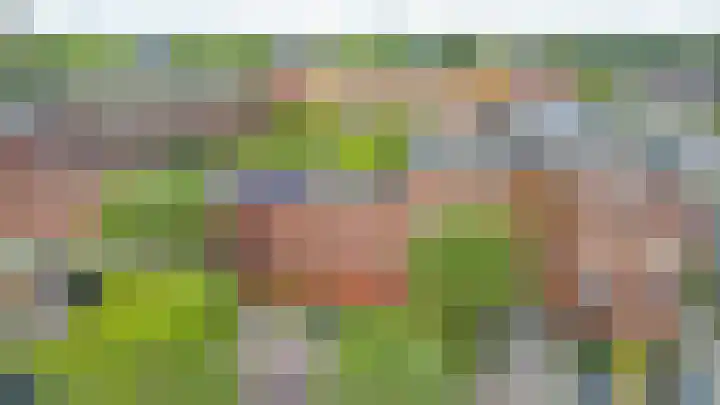 Lobeliastraat 8 Arnhem thumbnail 34