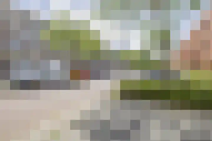 Lobeliastraat 8 Arnhem thumbnail 37