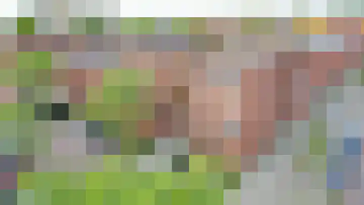 Lobeliastraat 8 Arnhem thumbnail 39