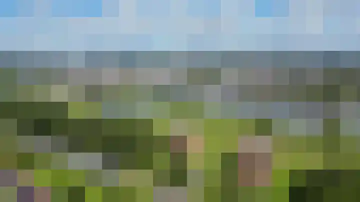 Lobeliastraat 8 Arnhem thumbnail 46