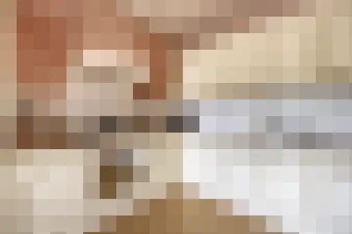Lobeliastraat 8 Arnhem thumbnail 9
