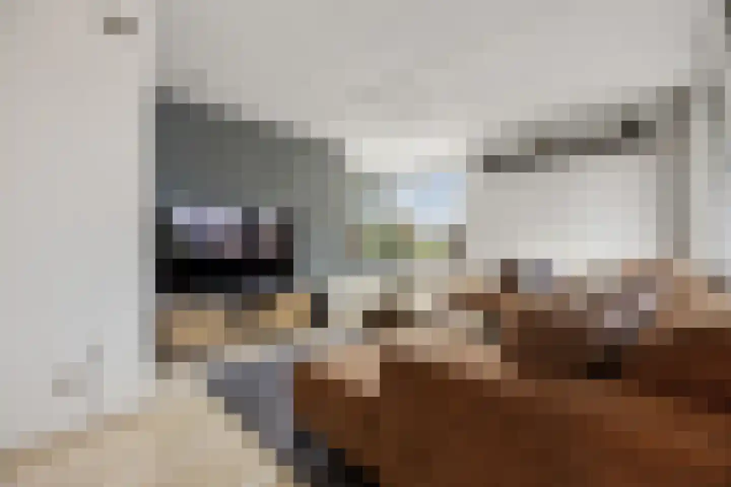 Lobeliastraat 86 Barneveld thumbnail 10