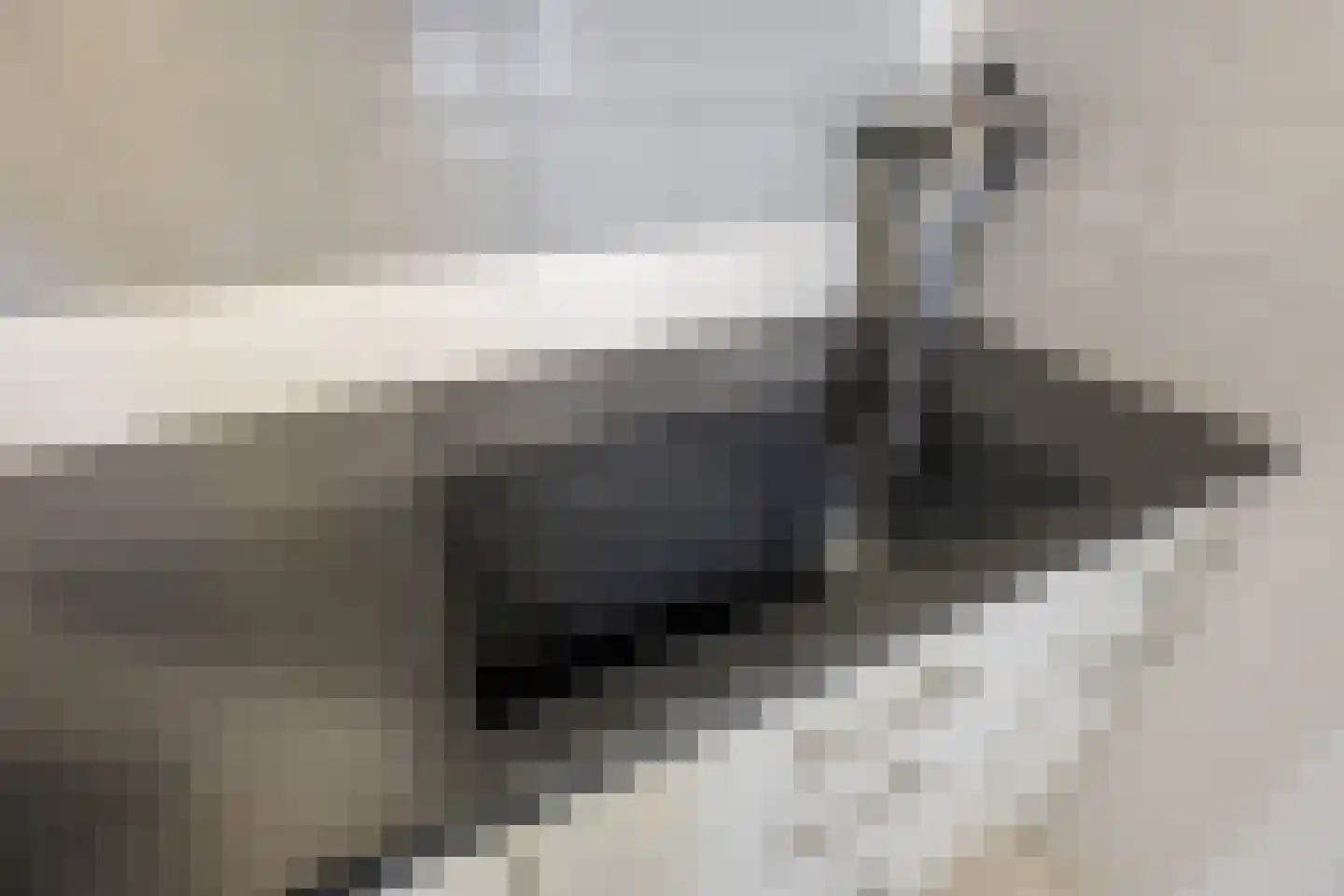 Lobeliastraat 86 Barneveld thumbnail 13