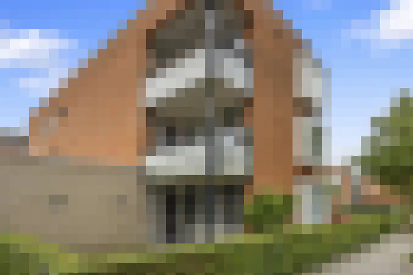 Lobeliastraat 86 Barneveld thumbnail 30