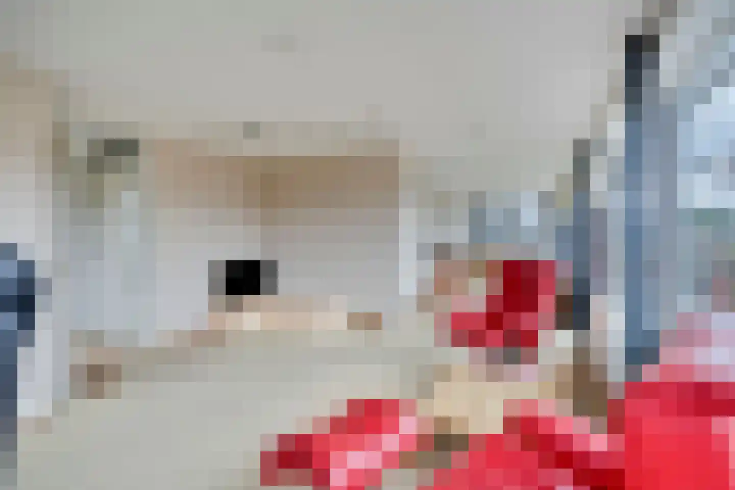 Lobeliastraat 94 Barneveld thumbnail 10