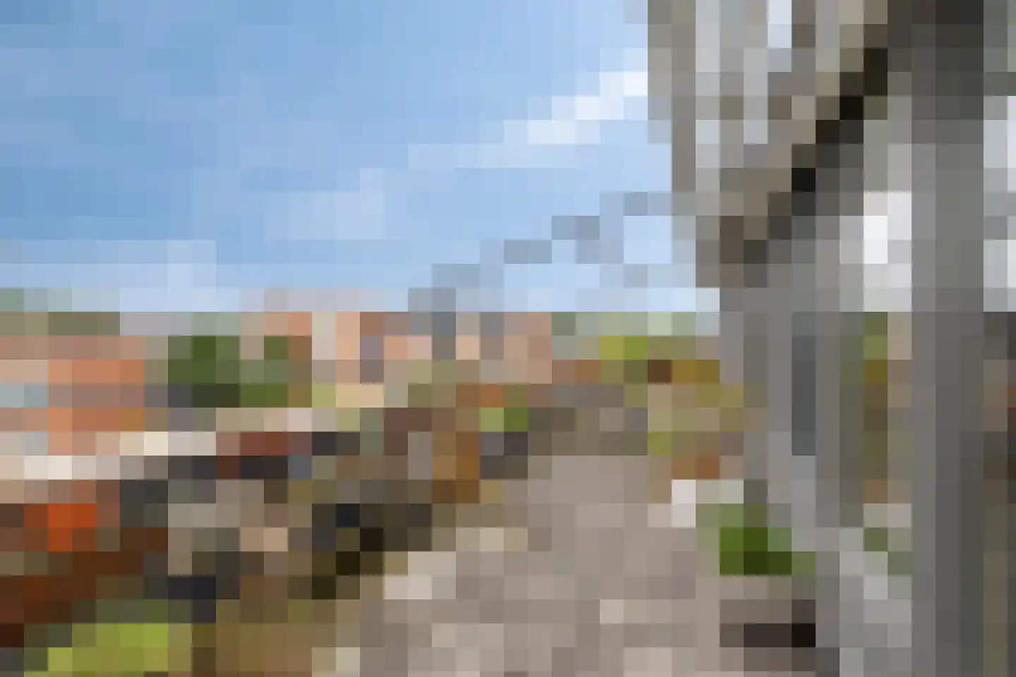 Lobeliastraat 94 Barneveld thumbnail 17