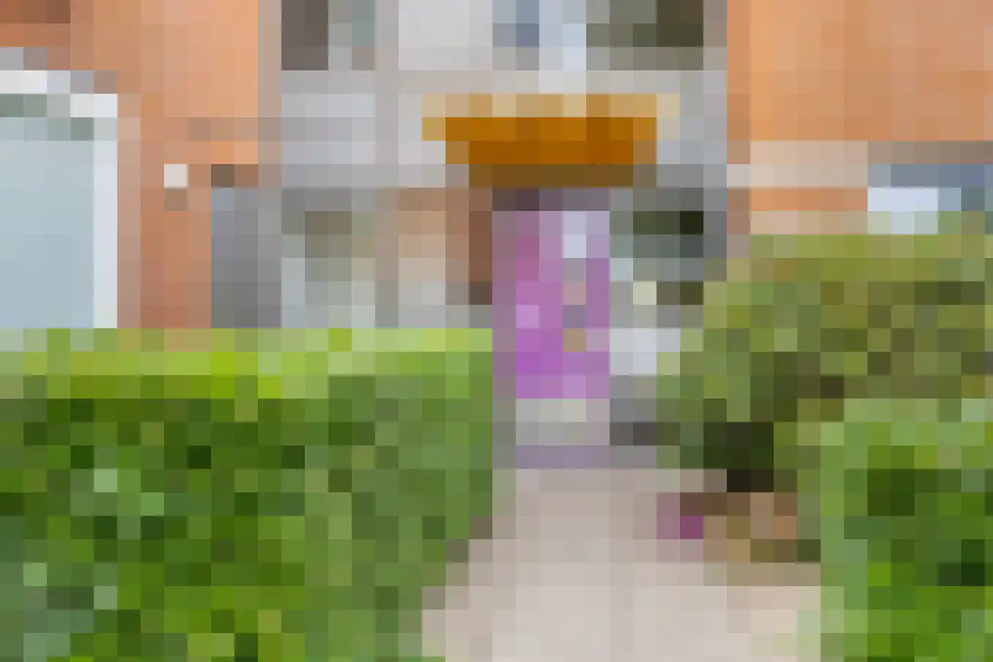 Lobeliastraat 94 Barneveld thumbnail 5