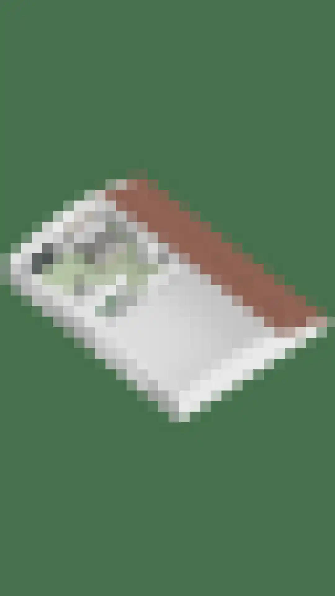 Lobeliuslaan 162 Oegstgeest thumbnail 66