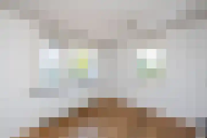 Lobeliuslaan 18 Oegstgeest thumbnail 20