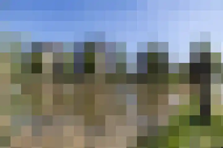 Lobeliuslaan 18 Oegstgeest thumbnail 34