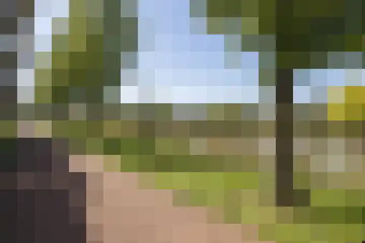 Lobeliuslaan 18 Oegstgeest thumbnail 35