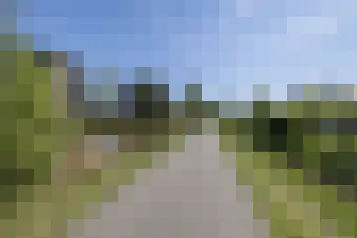 Lobeliuslaan 18 Oegstgeest thumbnail 36