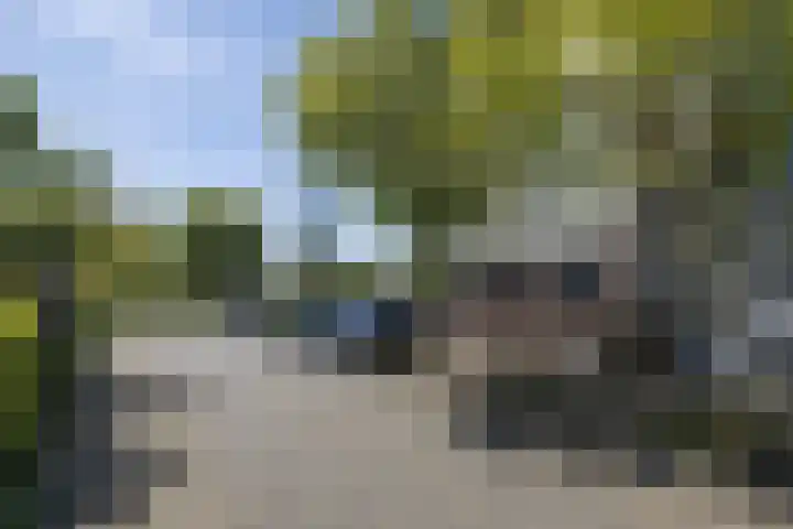 Lobeliuslaan 18 Oegstgeest thumbnail 38