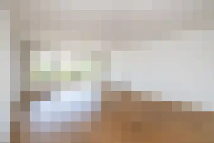 Lobeliuslaan 18 Oegstgeest thumbnail 8