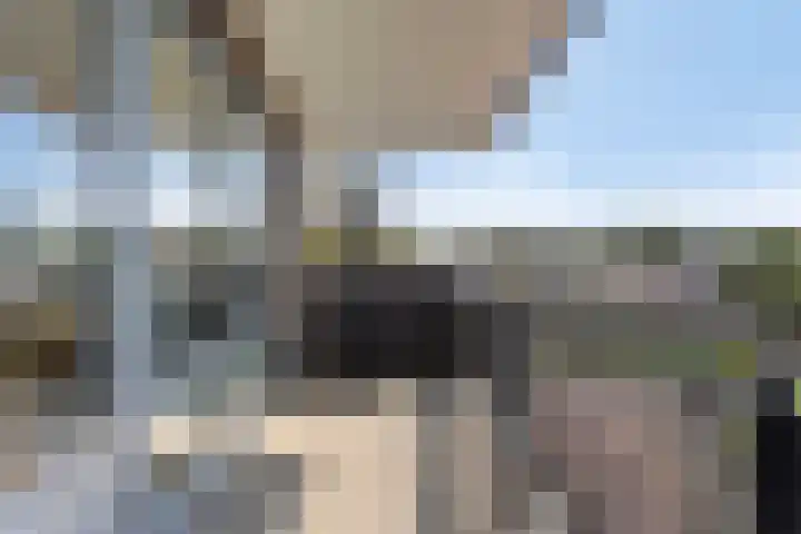 Lobeliuslaan 22 Oegstgeest thumbnail 13