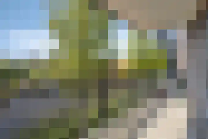 Lobeliuslaan 22 Oegstgeest thumbnail 14