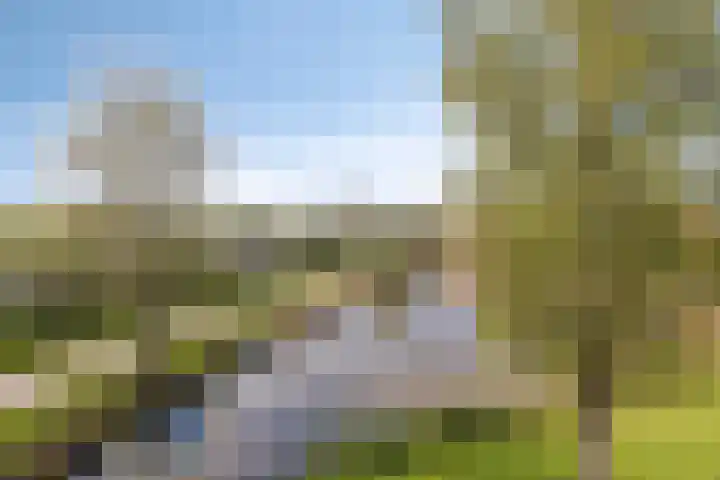 Lobeliuslaan 22 Oegstgeest thumbnail 15