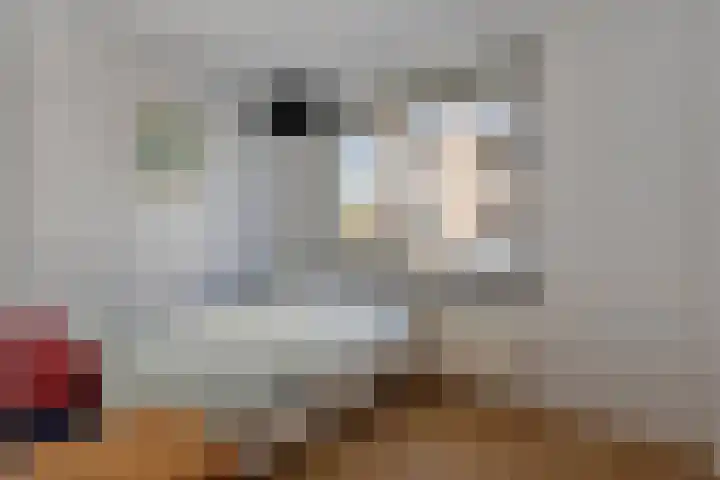 Lobeliuslaan 22 Oegstgeest thumbnail 18
