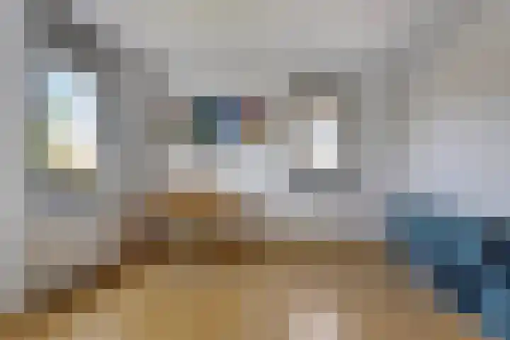 Lobeliuslaan 22 Oegstgeest thumbnail 23