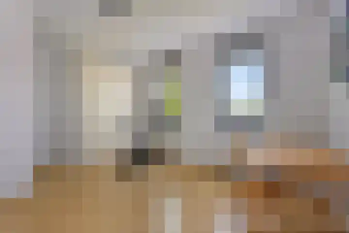 Lobeliuslaan 22 Oegstgeest thumbnail 24