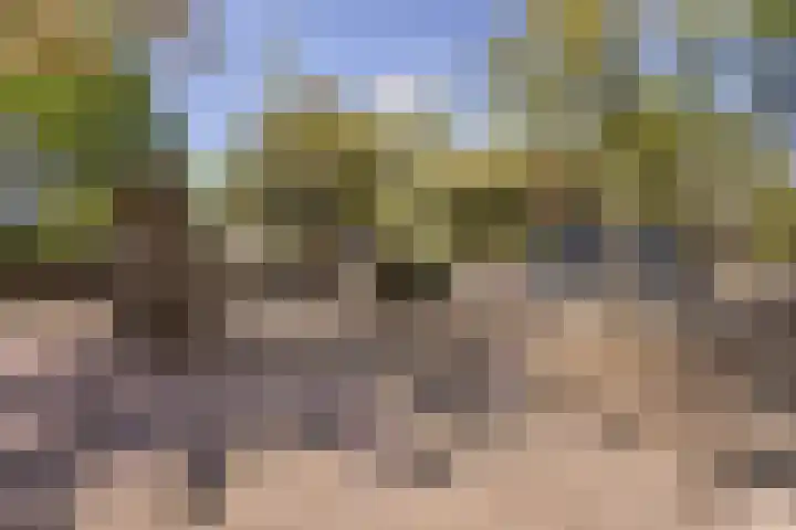 Lobeliuslaan 22 Oegstgeest thumbnail 30