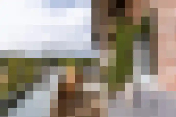 Lobeliuslaan 32 Oegstgeest thumbnail 21
