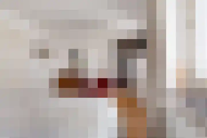 Lobeliuslaan 32 Oegstgeest thumbnail 23