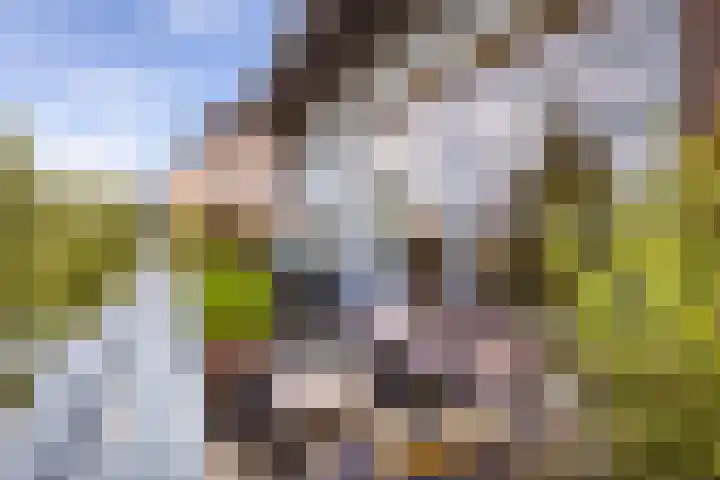 Lobeliuslaan 32 Oegstgeest thumbnail 28