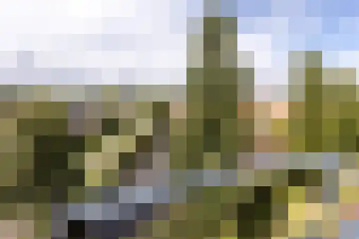 Lobeliuslaan 32 Oegstgeest thumbnail 29