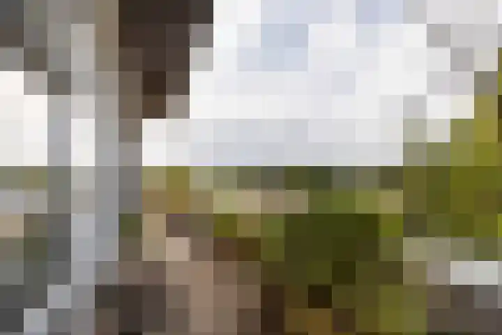 Lobeliuslaan 32 Oegstgeest thumbnail 30