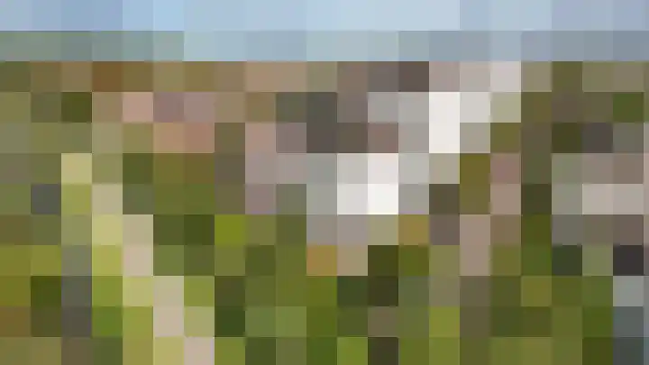 Lobeliuslaan 32 Oegstgeest thumbnail 38