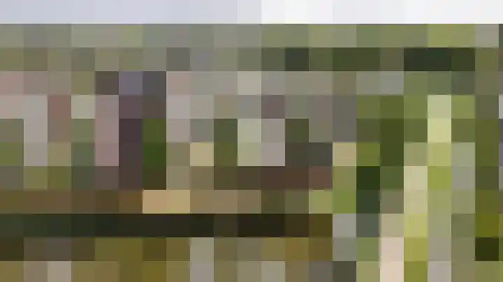 Lobeliuslaan 32 Oegstgeest thumbnail 40