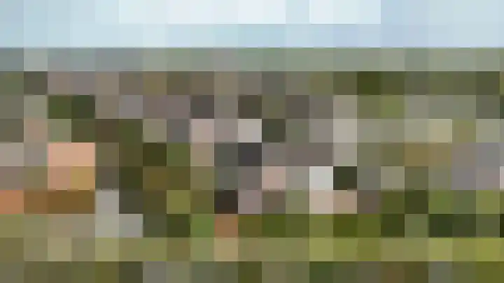 Lobeliuslaan 32 Oegstgeest thumbnail 42