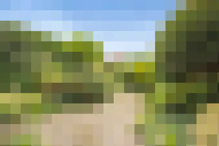 Lobeliuslaan 323 Zaandam thumbnail 25
