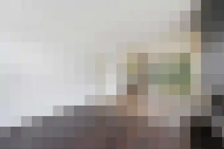 Lobeliuslaan 323 Zaandam thumbnail 4