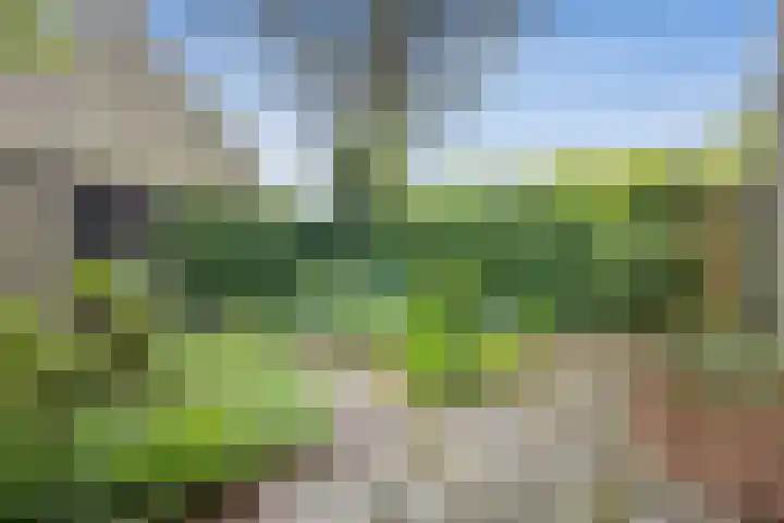 Lobeliuslaan 323 Zaandam thumbnail 7