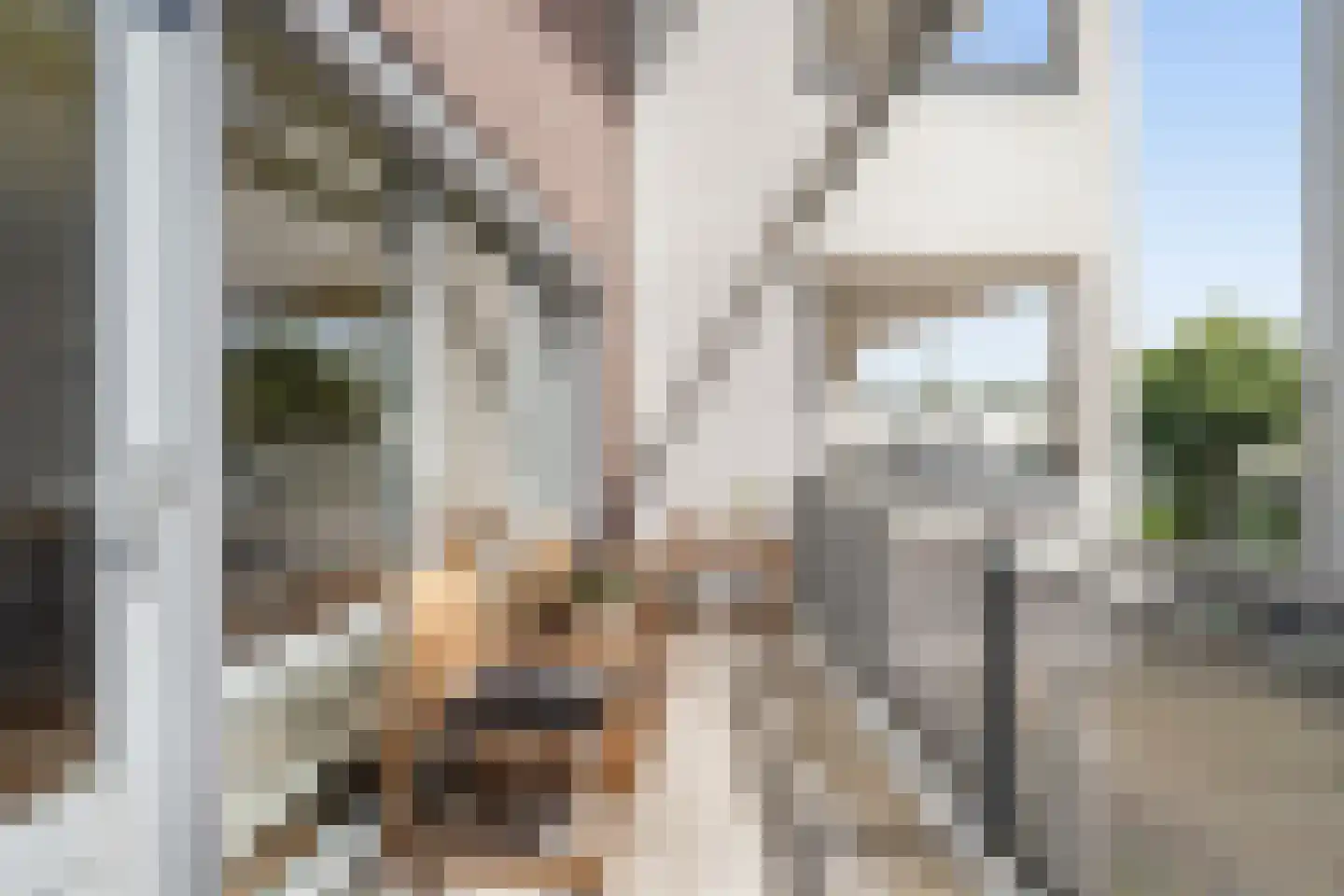 Lobeliuslaan 40 Oegstgeest thumbnail 8