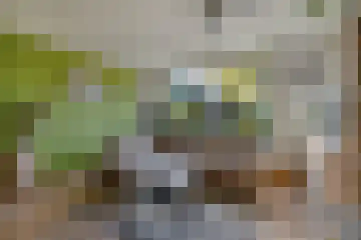 Lobeliusstraat 11 Zaandam thumbnail 9