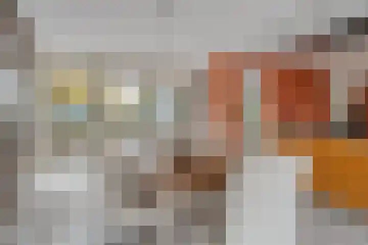Lobenpolder 17 Bergen op Zoom thumbnail 18