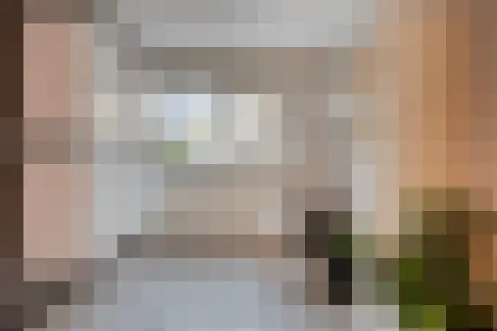 Lobenpolder 17 Bergen op Zoom thumbnail 25