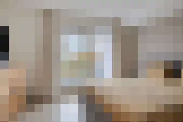 Lobenpolder 17 Bergen op Zoom thumbnail 30