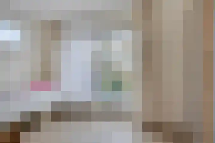 Lobenpolder 17 Bergen op Zoom thumbnail 37